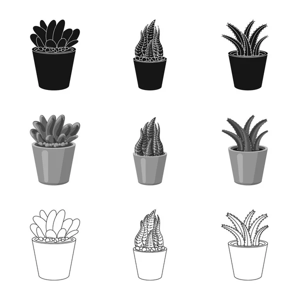 Vektorová design loga kaktus a květináč. Sada kaktus a kaktusy vektorové ilustrace. — Stockový vektor