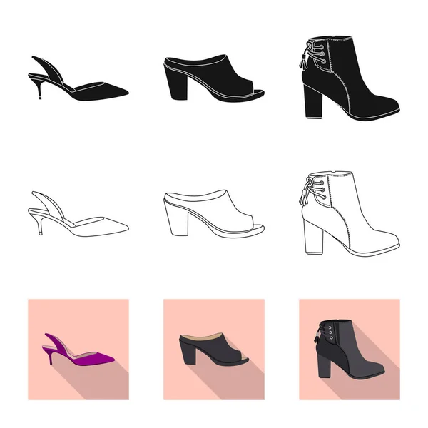Diseño vectorial de calzado y mujer icono. Colección de calzado y pie símbolo de stock para la web . — Vector de stock