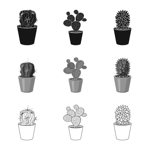 Objeto aislado de cactus y logotipo del pote. Colección de cactus y cactus stock vector ilustración . — Archivo Imágenes Vectoriales