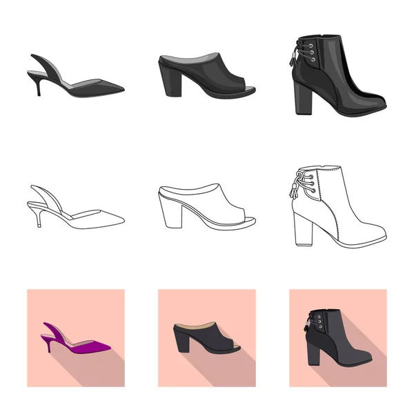 Ilustración vectorial de calzado y mujer icono. Colección de calzado y pie vector icono para stock . — Vector de stock