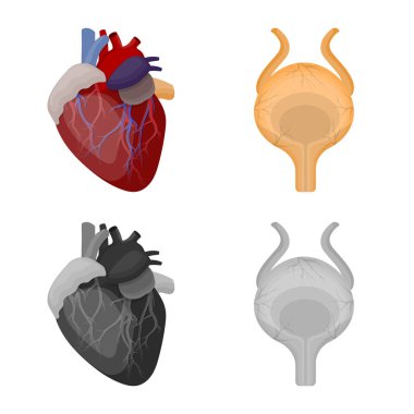 Vücut ve insan izole nesne. Vücut ve hisse senedi için tıbbi vektör simge kümesi.