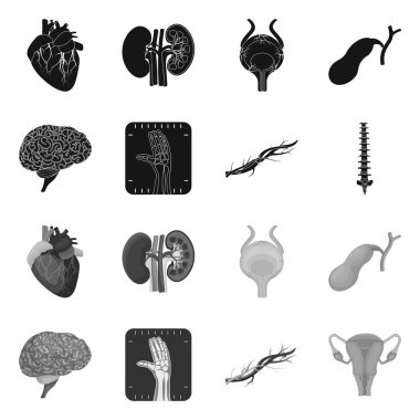 Vücut ve insan işareti vektör çizimi. Vücut ve web için tıbbi hisse senedi simgesi toplama.