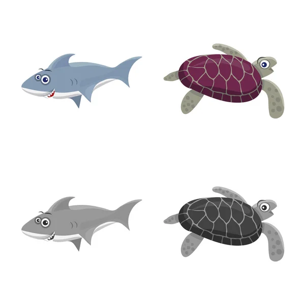 Diseño vectorial de mar y signo animal. Conjunto de ilustración de vectores marinos y marinos . — Vector de stock