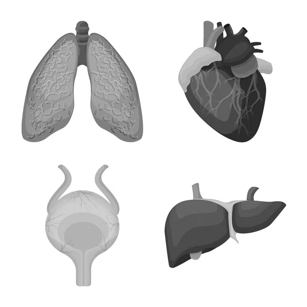 Conception vectorielle du corps et du symbole humain. Ensemble d'illustration vectorielle du corps et du stock médical . — Image vectorielle