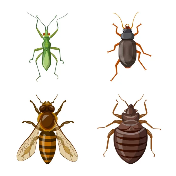 Ilustración vectorial del logotipo de insectos y moscas. Colección de insectos y símbolo de stock de elementos para la web . — Archivo Imágenes Vectoriales