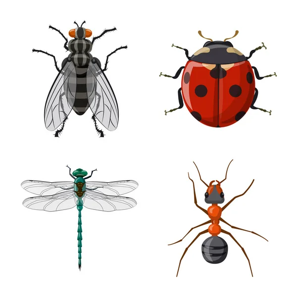 昆虫とフライのロゴのベクター デザイン。Web 昆虫と要素株式記号のセット. — ストックベクタ