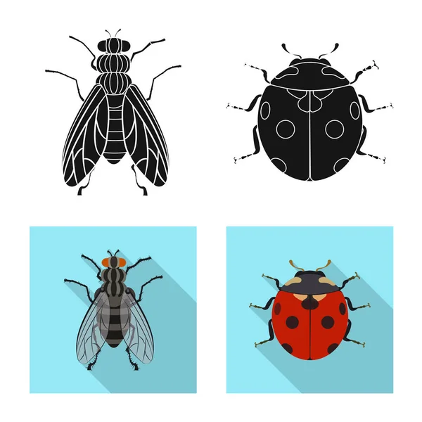 Vektordesign von Insekten- und Fliegensymbol. Set von Insekten- und Elementlagersymbol für das Netz. — Stockvektor