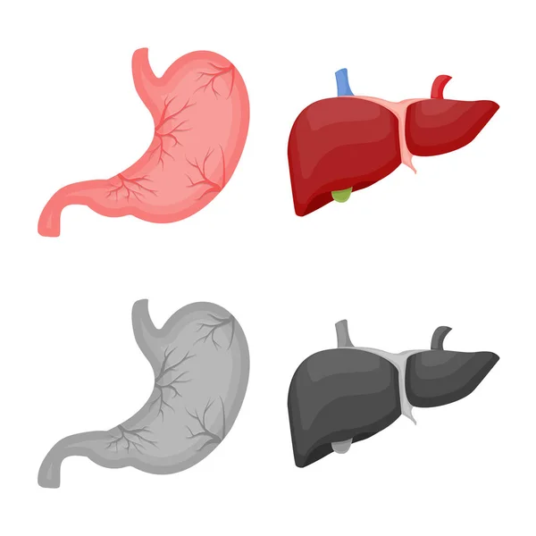 Ilustración vectorial del cuerpo y del símbolo humano. Conjunto de cuerpo y símbolo de stock médico para web . — Archivo Imágenes Vectoriales