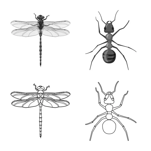 Векторный дизайн логотипа насекомых и мух. Коллекция векторных иллюстраций насекомых и элементов . — стоковый вектор