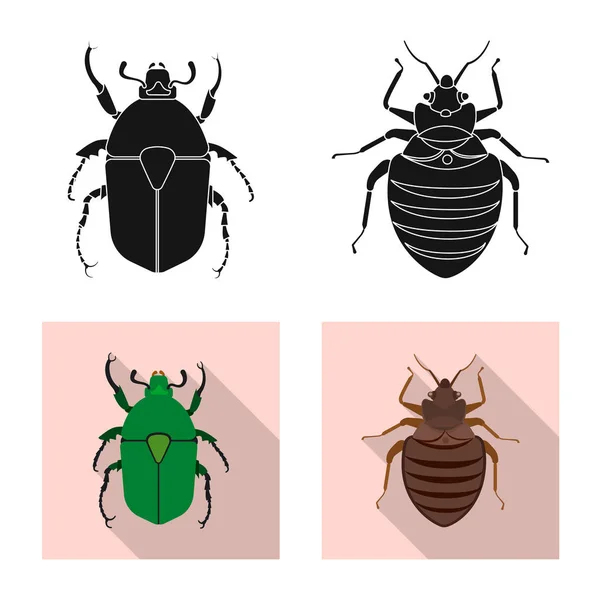 Geïsoleerde object van insecten en vliegen pictogram. Set insect en element aandelensymbool voor web. — Stockvector