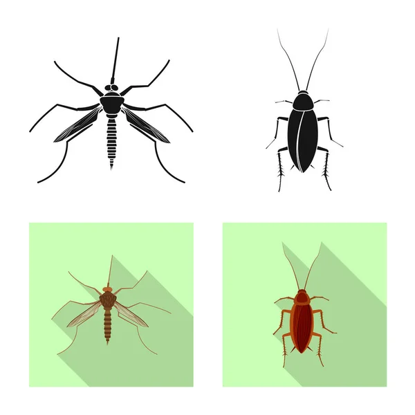 Illustration vectorielle de signes d'insectes et de mouches. Ensemble d'icône vectorielle d'insecte et d'élément pour le stock . — Image vectorielle