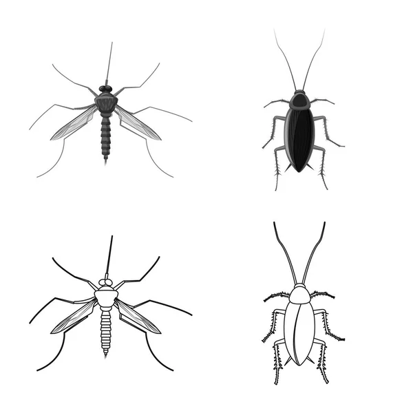 Изолированный объект насекомого и логотип мухи. Коллекция символа запаса насекомых и элементов для сети . — стоковый вектор