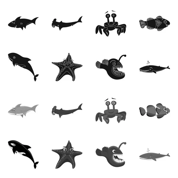 Objeto aislado de mar y símbolo animal. Conjunto de símbolo de stock marino y marino para web . — Archivo Imágenes Vectoriales