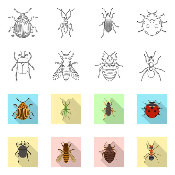 Diseño vectorial del icono de insectos y moscas. Colección de insectos y elemento vector icono para stock . — Vector de stock