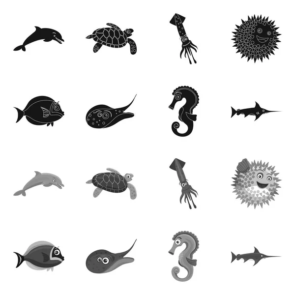 Vector illustration of sea and animal icon. Set of sea and marine vector icon for stock. — Stock Vector