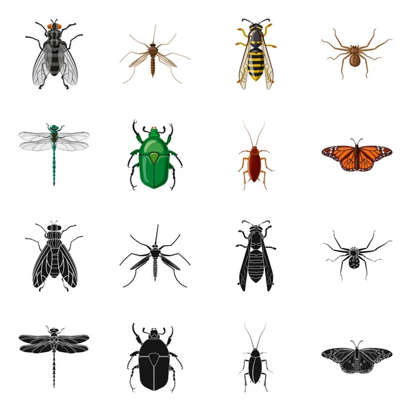 Ilustración vectorial del logotipo de insectos y moscas. Colección de insectos y elemento vector icono para stock . — Archivo Imágenes Vectoriales