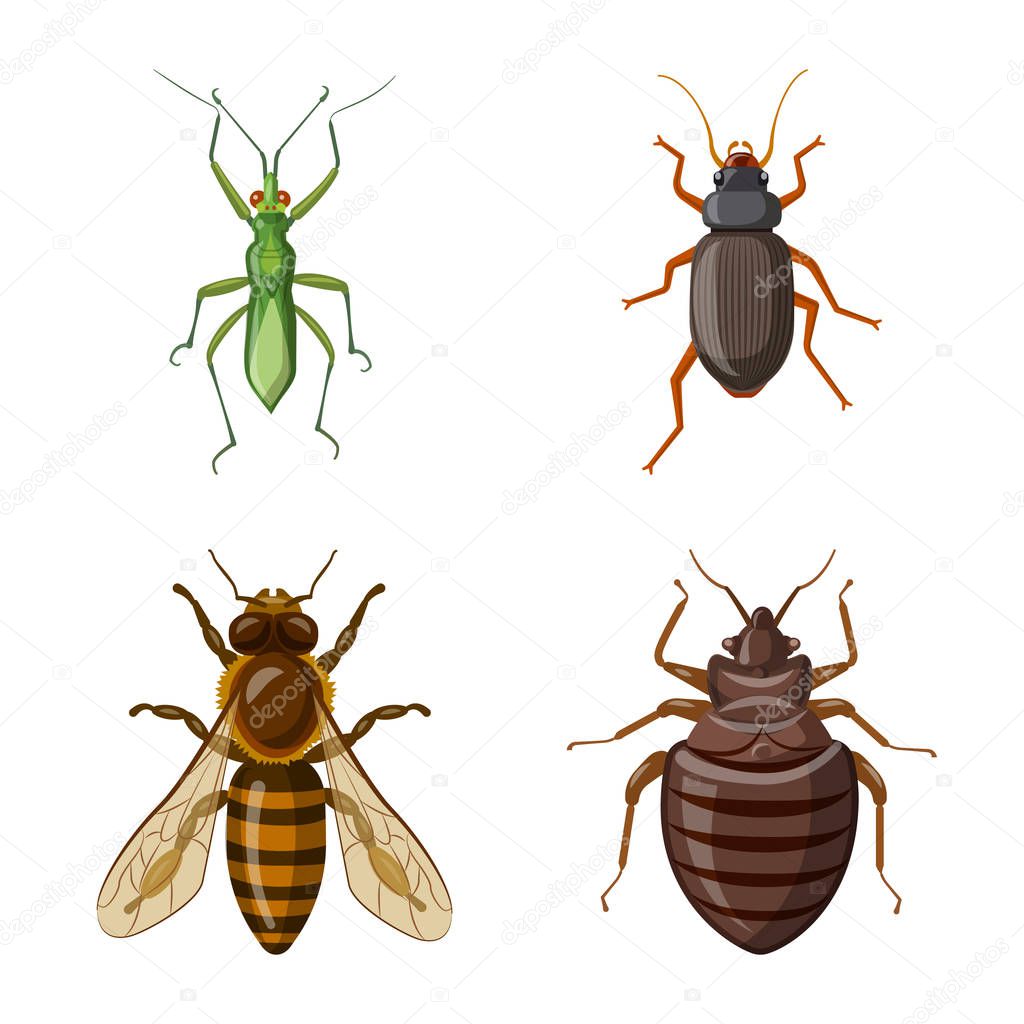 Isolated object of insect and fly icon. Set of insect and element stock vector illustration.