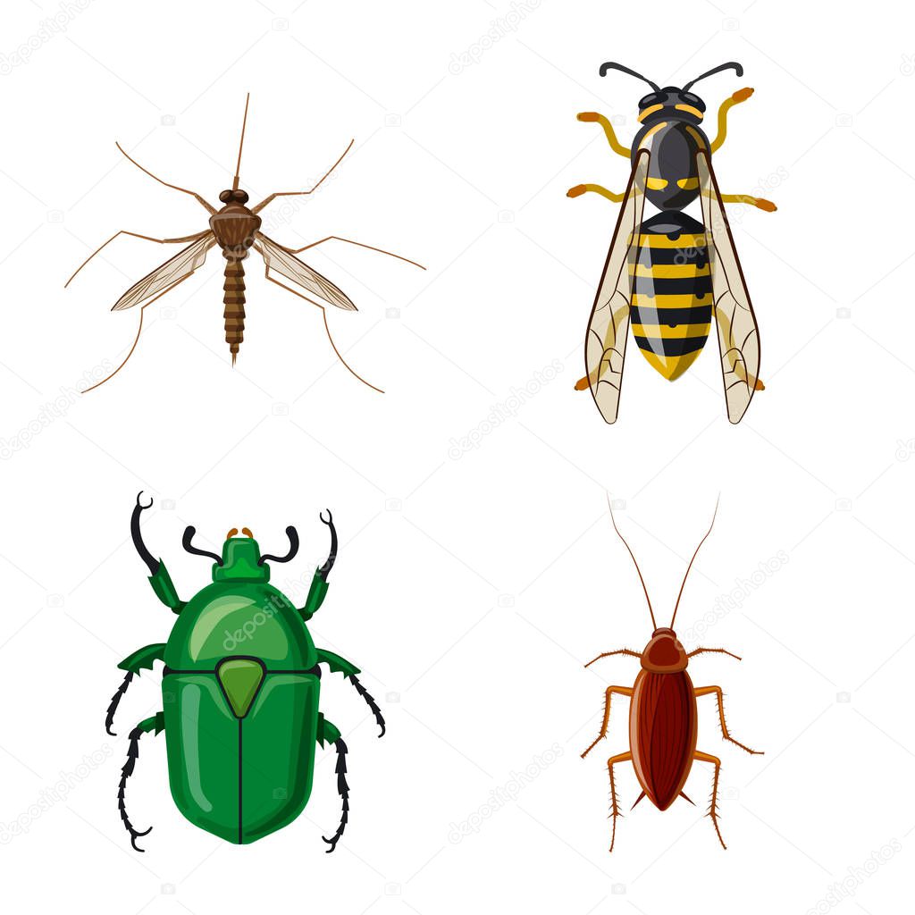 Vector design of insect and fly icon. Collection of insect and element vector icon for stock.