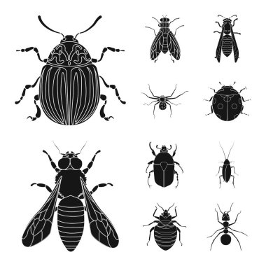 Böcek ve sinek sembolü yalıtılmış nesne. Web için böcek ve öğe hisse senedi simgesi kümesi.