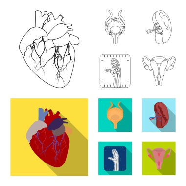 Vücut ve insan logo yalıtılmış nesne. Vücut ve web için tıbbi hisse senedi simgesi toplama.