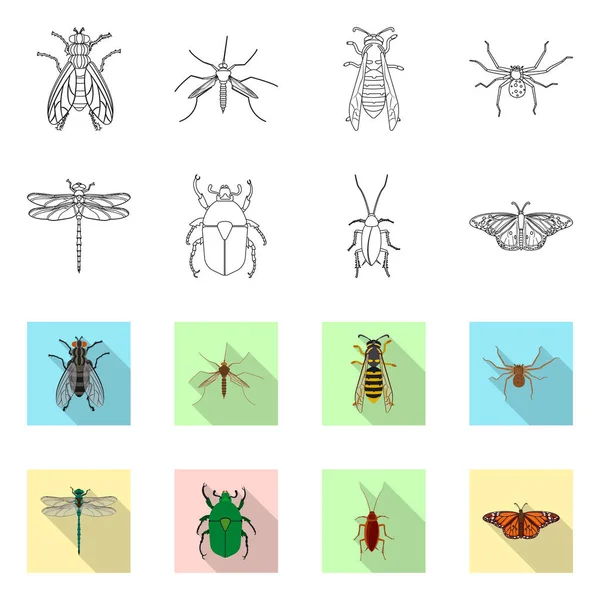 Vektordesign von Insekten- und Fliegensymbol. Sammlung von Insekten- und Elementaktivvektordarstellungen. — Stockvektor