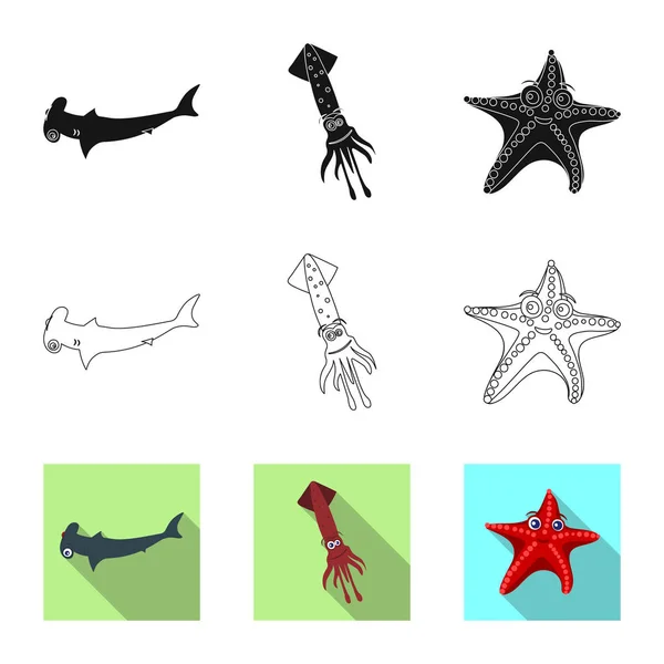 Objet isolé du logo de la mer et de l'animal. Illustration vectorielle des stocks marins et marins . — Image vectorielle