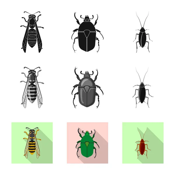 Vektorillustration von Insekten- und Fliegensymbol. Sammlung von Insekten- und Elementlagersymbolen für das Netz. — Stockvektor