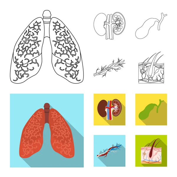 Ilustração vetorial do corpo e do signo humano. Coleção de corpo e símbolo de estoque médico de web . — Vetor de Stock