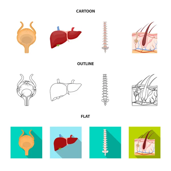 体と人間の孤立したオブジェクト。体とストックの医療ベクター アイコン セット. — ストックベクタ
