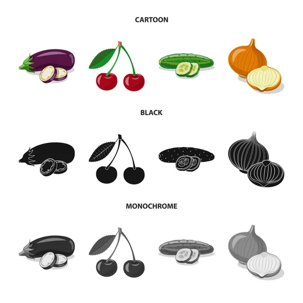 야채와 과일 아이콘의 벡터 디자인입니다. 야채와 채식 주식 기호 웹의 컬렉션. — 스톡 벡터