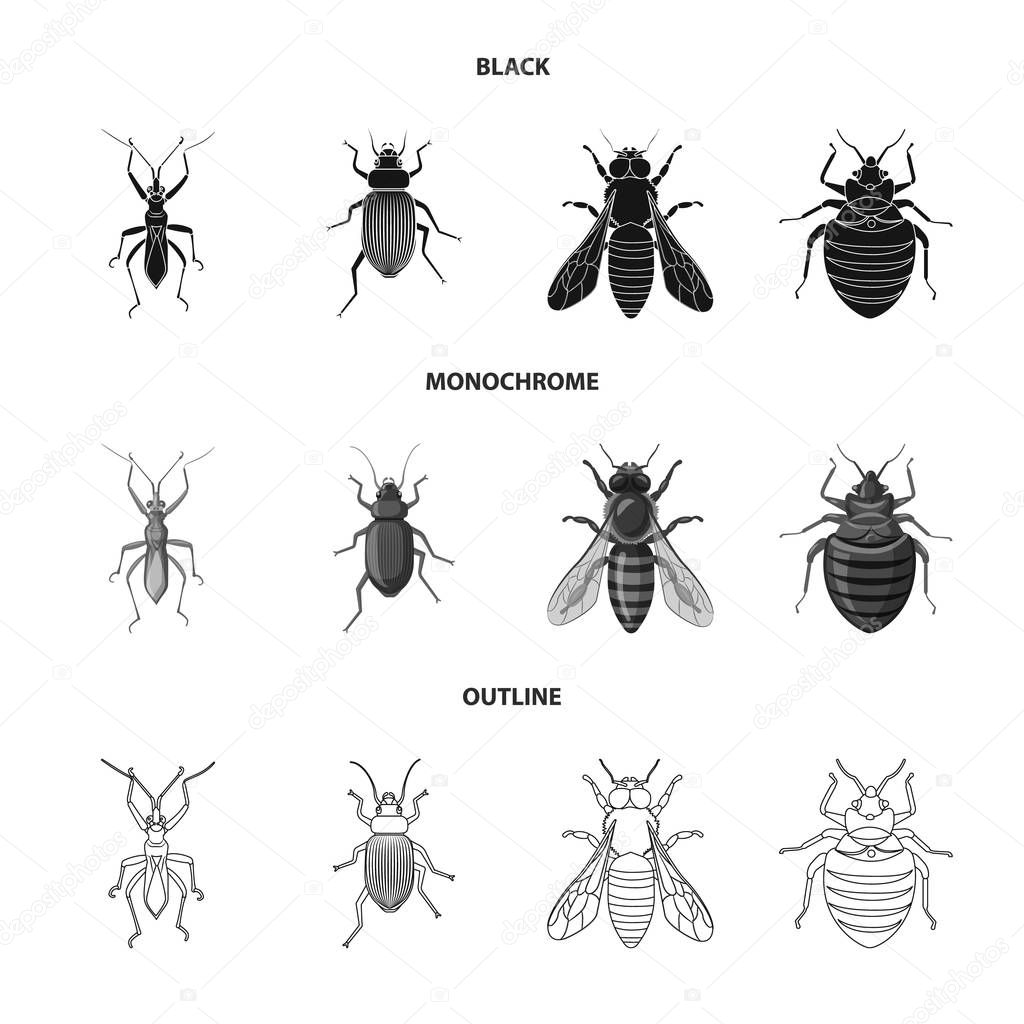 Vector illustration of insect and fly icon. Collection of insect and element stock vector illustration.