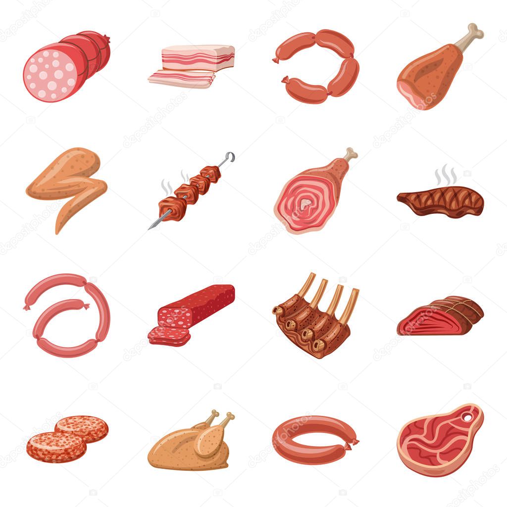 Vector illustration of meat and ham icon. Set of meat and cooking stock symbol for web.