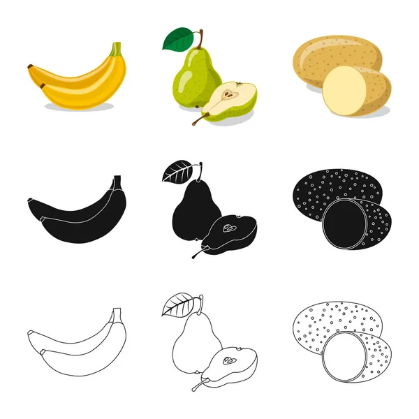 Objeto aislado de icono de frutas y verduras. Conjunto de ilustración de vectores vegetales y vegetarianos . — Vector de stock