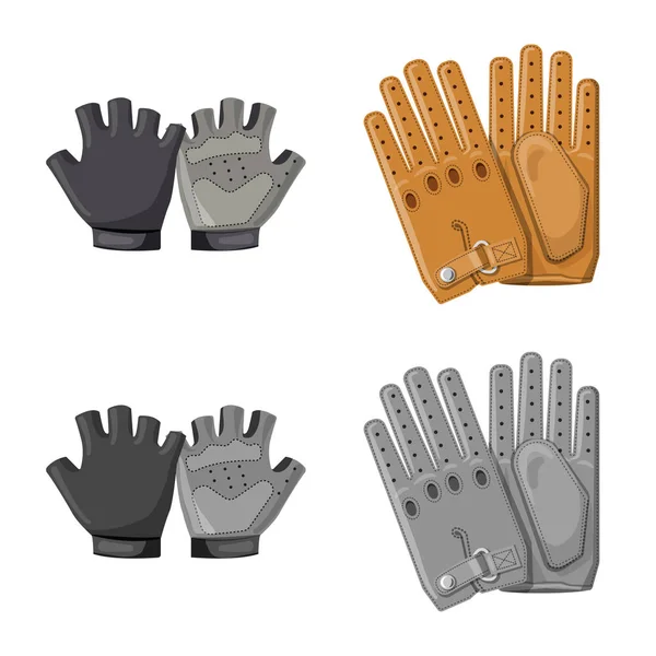 Ilustración vectorial de guante y logotipo de invierno. Colección de guante y equipo icono vectorial para stock . — Vector de stock