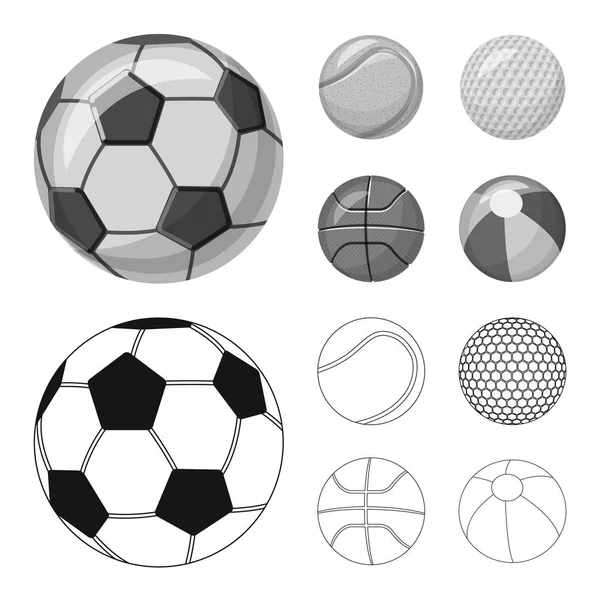 Ilustración vectorial del deporte y el símbolo de pelota. Colección de deporte y el icono del vector deportivo para la acción . — Vector de stock