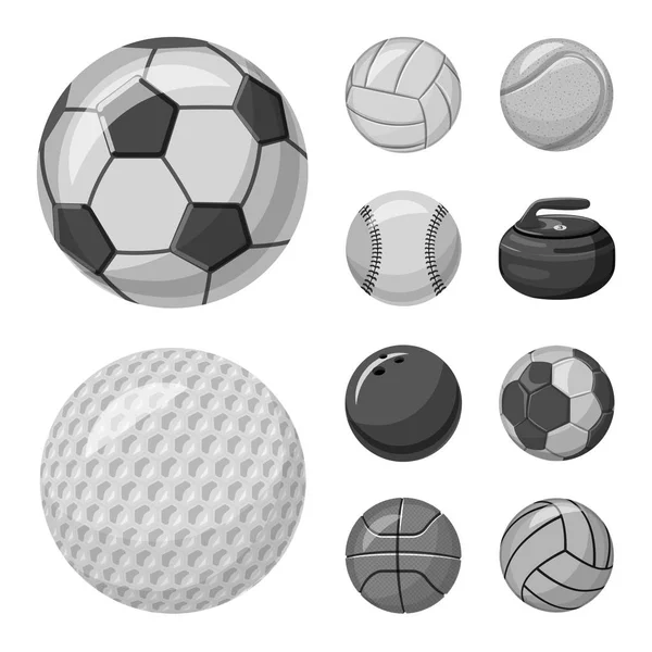 Ilustración vectorial del deporte y el signo de pelota. Conjunto de deporte y símbolo de stock atlético para web . — Vector de stock