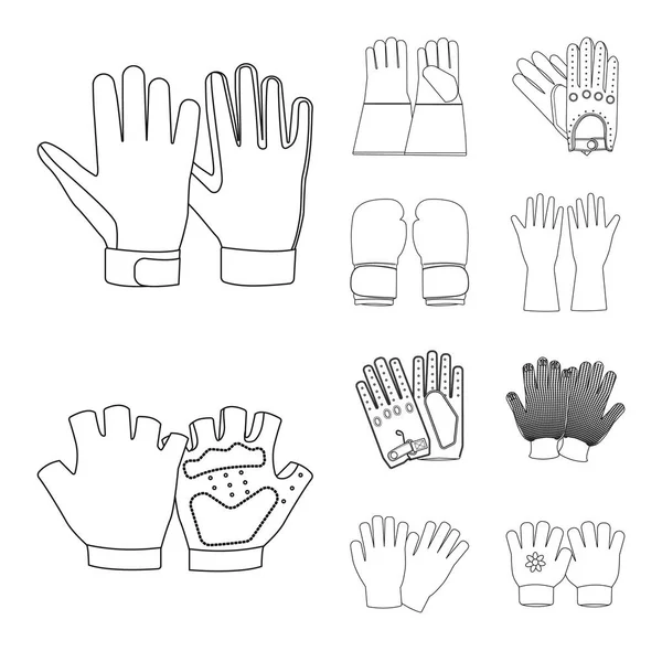 Vektor-Design von Handschuh und Wintersymbol. Sammlung von Handschuhen und Ausrüstung Lagersymbol für Web. — Stockvektor