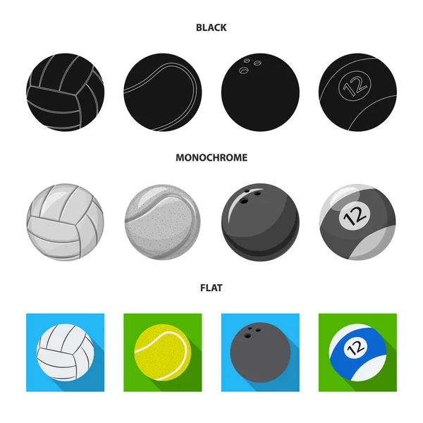 Isolated object of sport and ball icon. Set of sport and athletic vector icon for stock. — Stock Vector