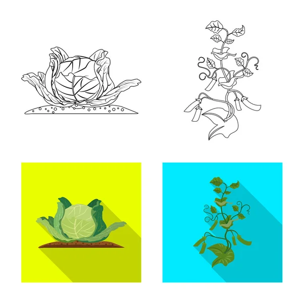 Oggetto isolato di serra e logo vegetale. Raccolta di illustrazioni vettoriali su serra e giardino . — Vettoriale Stock