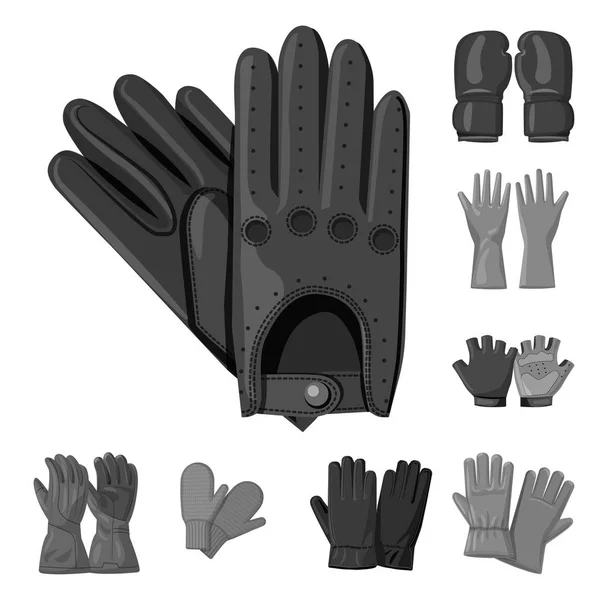 Ilustración vectorial de guante y signo de invierno. Juego de guante y equipo vector icono para stock . — Vector de stock