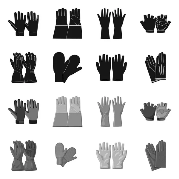 Isolated object of glove and winter icon. Collection of glove and equipment vector icon for stock. — Stock Vector