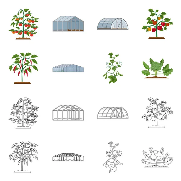 Ilustración vectorial del logotipo de invernadero y planta. Conjunto de invernadero y símbolo de stock de jardín para web . — Archivo Imágenes Vectoriales