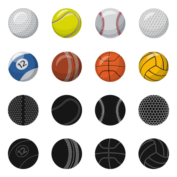 Diseño vectorial de señal de deporte y pelota. Colección de deporte y símbolo de stock atlético para la web . — Vector de stock