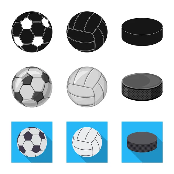 Na białym tle obiekt sport i piłka znak. Zestaw sport i symbol giełdowy sportowe dla sieci web. — Wektor stockowy