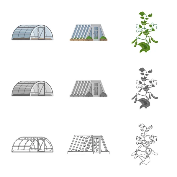 温室和植物标志的矢量设计。一套温室和花园矢量图标的股票. — 图库矢量图片