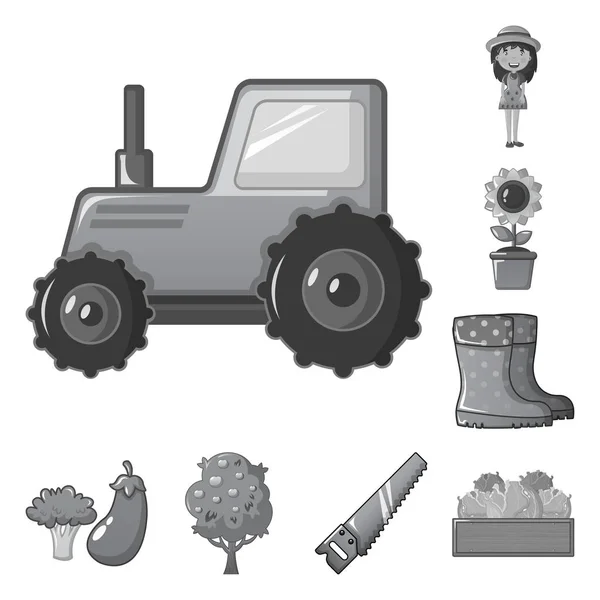 Illustrazione vettoriale del logo agricolo e agricolo. Raccolta dell'icona del vettore agricolo e vegetale per lo stock . — Vettoriale Stock