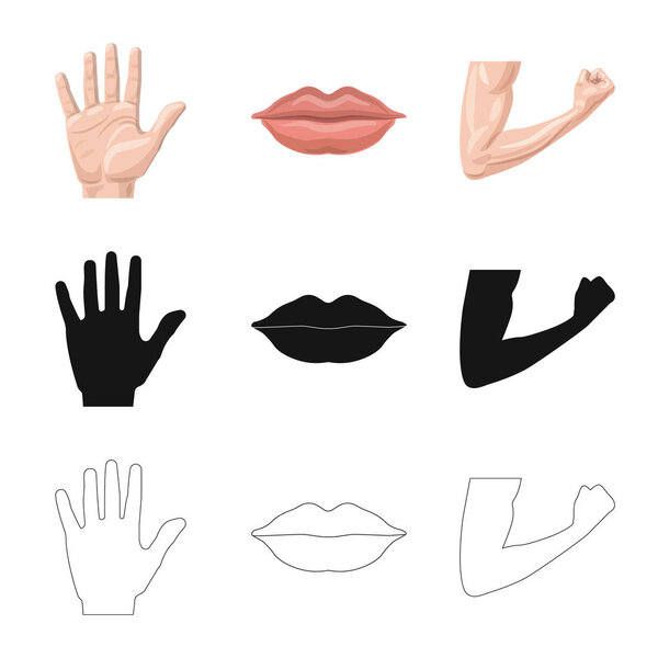 Isolated object of human and part symbol. Collection of human and woman stock vector illustration.