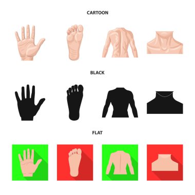 İnsan ve yarım simge vektör tasarımı. Kadın hisse senedi vektör çizim ve insan kümesi.