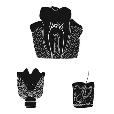 Vücut ve insan logo vektör tasarımı. Vücut ve hisse senedi için tıbbi vektör ikon koleksiyonu.