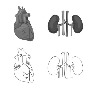 Vücut ve insan logo vektör tasarımı. Vücut ve hisse senedi için tıbbi vektör ikon koleksiyonu.